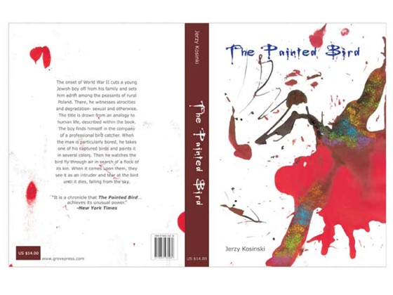 Information design: The Painted Bird