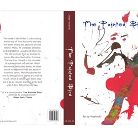Information design: The Painted Bird